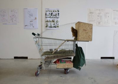 L&rsquo;hôtel de poules