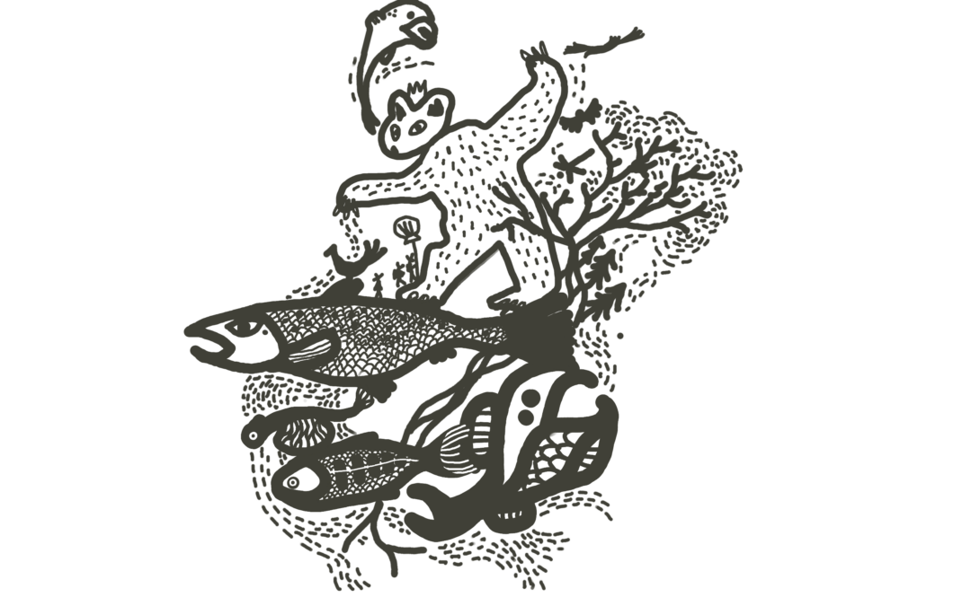 Les repaires des salmonides