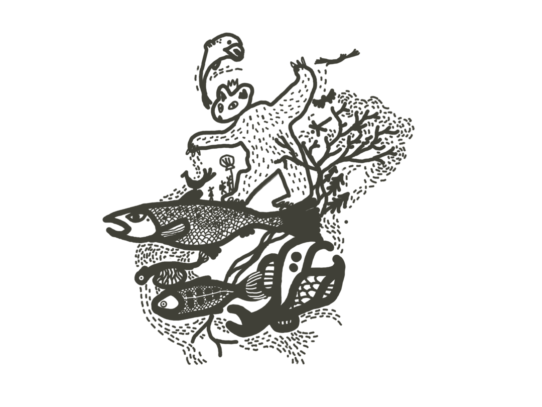 les repaires des salmonides