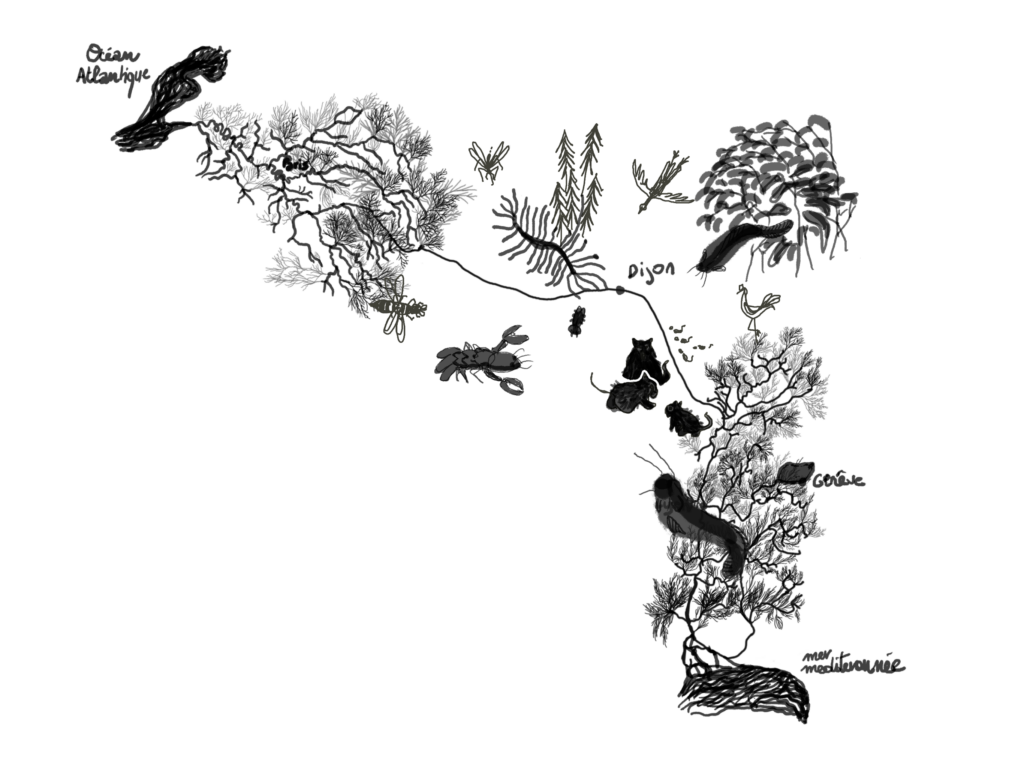 l'assemblée des sales bêtes l'assemblée des sales bêtes